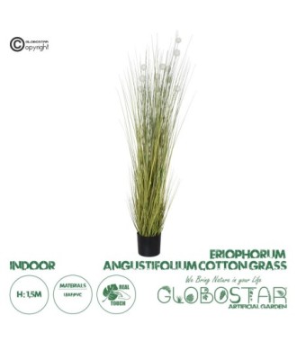 GloboStar® Artificial Garden ERIOPHORUM ANGUSTIFOLIUM COTTON GRASS 20073 Τεχνητό Διακοσμητικό Φυτό Γρασίδι του Βαμβακιού Υ150cm